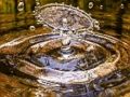 Spel Water spat figuursaag  aanlyn