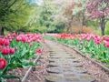 Spel Pathway Jigsaw aanlyn