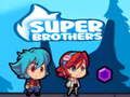Spel Super broers  aanlyn
