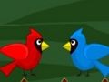 Spel TOCO Toucan Escape aanlyn