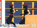 Spel Sniper Master 3D aanlyn