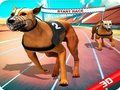 Spel Crazy Dog Race aanlyn