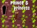 Spel Prins en prinses: Soensoektog  aanlyn