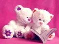 Spel Oulike Teddiebere Skyfie  aanlyn