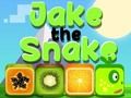 Spel Jake Die Slang  aanlyn
