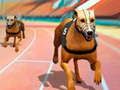 Spel Honde 3D-wedrenne  aanlyn