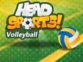 Spel Hoof Sport Vlugbal  aanlyn