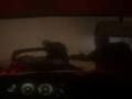 Spel Spooky Jungle Safari aanlyn