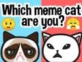 Spel Watter meme kat is jy?  aanlyn