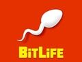 Spel Bitlife aanlyn