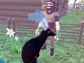 Spel Deer Simulator 3D aanlyn