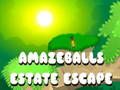 Spel Amazeballs Estate Escape aanlyn