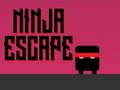 Spel Ninja ontsnap  aanlyn