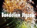 Spel Paardebloem figuursaag  aanlyn