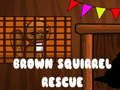 Spel Brown Squirrel Rescue aanlyn
