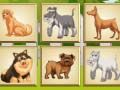 Spel Honde geheue  aanlyn