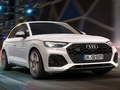 Spel Audi SQ5 TDI -skyfie aanlyn