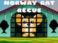 Spel Noorweë Rat Redding  aanlyn
