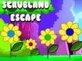 Spel Scrubland Escape aanlyn