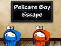 Spel Delikate Boy Escape  aanlyn