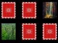 Spel Bosherinnering  aanlyn
