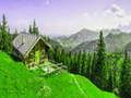 Spel Alpine Berg figuursaag  aanlyn