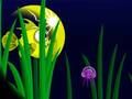 Spel Flash Fish Freddie aanlyn