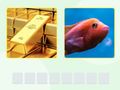 Spel Pikwoord aanlyn