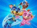 Spel Inkleurboek vir Paw Patrol  aanlyn