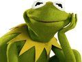 Spel Inkleurboek Vir Kermit die Padda  aanlyn
