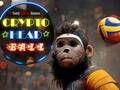 Spel Crypto Kopbal  aanlyn