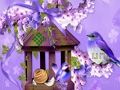 Spel Wonderlike Humming Bird Land Escape  aanlyn