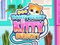 Spel Dok HoneyBerry Kitty Chirurgie  aanlyn