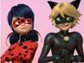 Spel Wonderbaarlike Ladybug & Cat Noir legkaart  aanlyn
