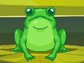 Spel Padda Match Master  aanlyn