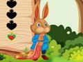 Spel Eekhoring ontsnap  aanlyn