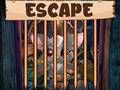 Spel Pragtige Klein Bat Escape  aanlyn