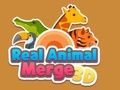 Spel Regte dier Merge 3d aanlyn