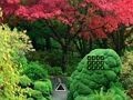 Spel Maple Leaf Garden Escape aanlyn