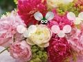 Spel Pretty Blossom Wallpaper Escape aanlyn