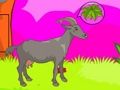 Spel Wolf ontsnap  aanlyn