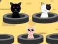 Spel Vang katte  aanlyn
