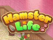 Spel Hamster Lewensraaisel  aanlyn