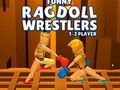 Spel Snaakse Ragdoll-stoeiers  aanlyn