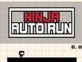 Spel Ninja Auto Run aanlyn