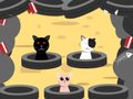 Spel Vang Die Katte  aanlyn