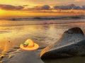 Spel Ontsnap vanaf Sunset Beach  aanlyn