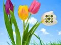 Spel Blommepas ontsnap aanlyn