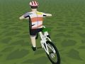 Spel Ry Extreme 3D  aanlyn