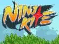Spel Ninja vlieër  aanlyn